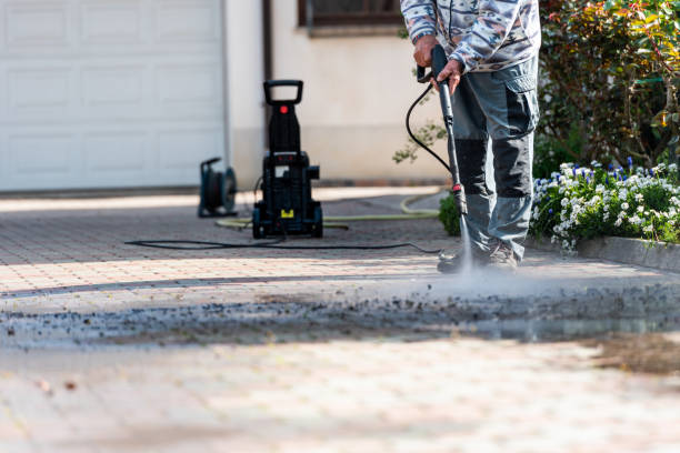 Best Pressure Washing Company Near Me  in Lake Hamilton, AR